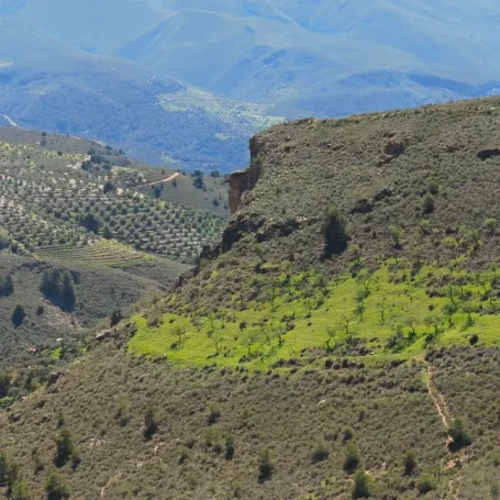 Paisaje rural de Lanjarón con la formación rocosa del Señor de las Cumbres