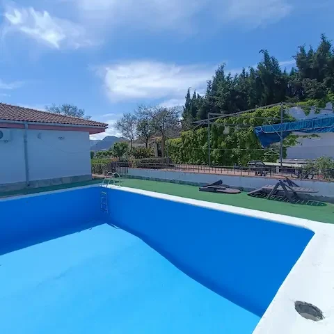 Piscina de color azul en un patio al aire libre rodeado de vegetación y tumbonas.