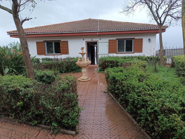 Casa blanca con jardín y fuente, rodeada de vegetación, camino de baldosas.