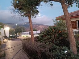 Paisaje al atardecer con árboles, plantas y montañas de fondo.
