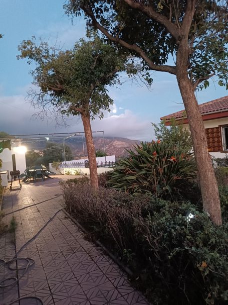 Camino con árboles, plantas y una vista montañosa al fondo bajo un cielo crepuscular.